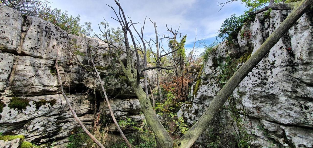 La Grange - Chez Gisi - Fuer Naturliebhaber, Abenteurer Und Geniesser Rocles  Exteriör bild