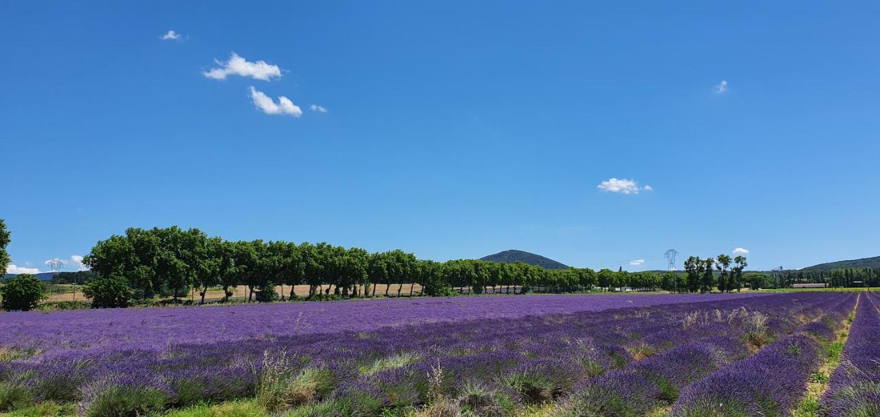 La Grange - Chez Gisi - Fuer Naturliebhaber, Abenteurer Und Geniesser Rocles  Exteriör bild